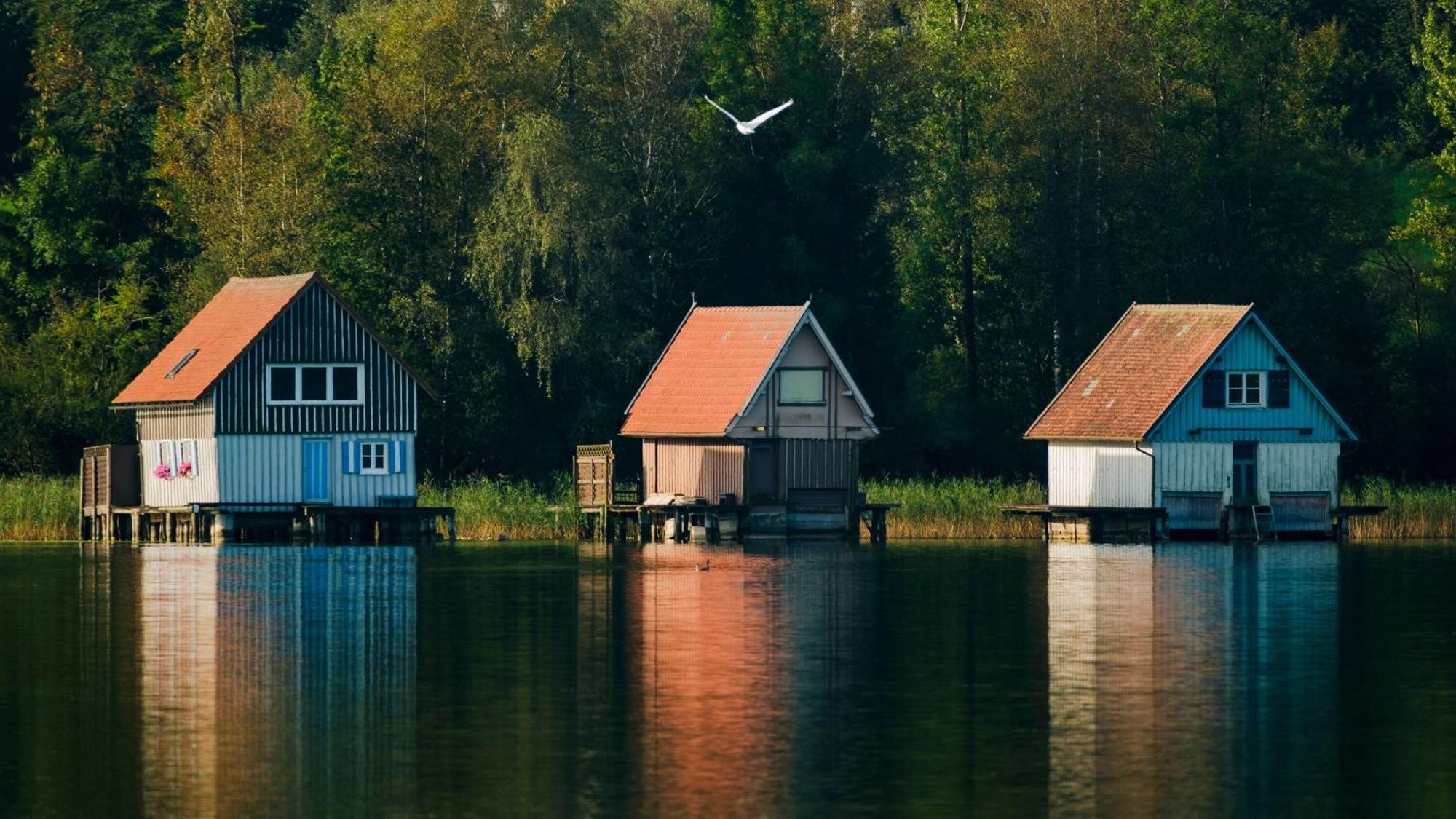 Gemuetliches Ferienhaus Mit Garten Kamin, Eine Separate Ferienwohnung, Neu Renoviert, Ideal Fuer Familien Und Gruppen Immenstadt im Allgäu Exteriör bild